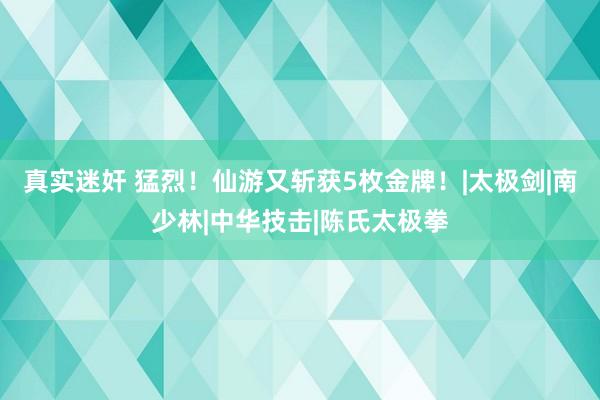 真实迷奸 猛烈！仙游又斩获5枚金牌！|太极剑|南少林|中华技击|陈氏太极拳