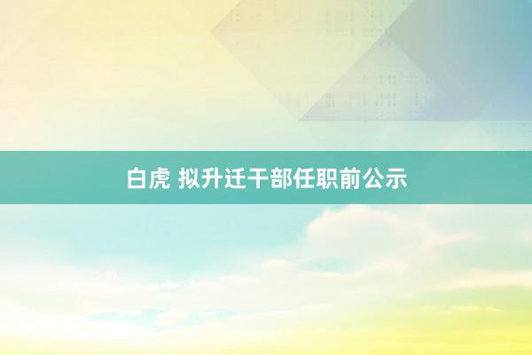 白虎 拟升迁干部任职前公示