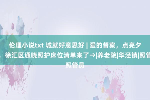 伦理小说txt 城就好意思好 | 爱的督察，点亮夕阳，徐汇区通晓照护床位清单来了