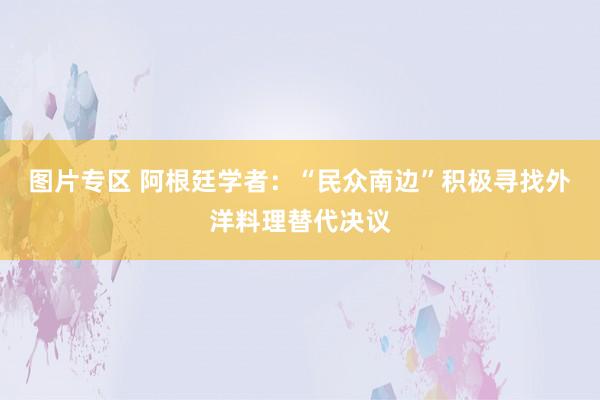 图片专区 阿根廷学者：“民众南边”积极寻找外洋料理替代决议