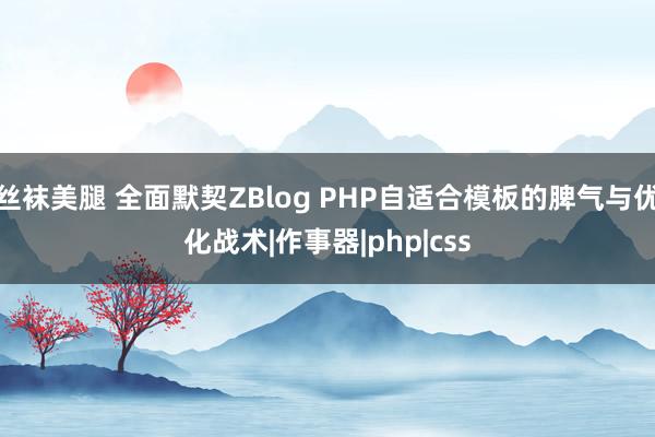 丝袜美腿 全面默契ZBlog PHP自适合模板的脾气与优化战术|作事器|php|