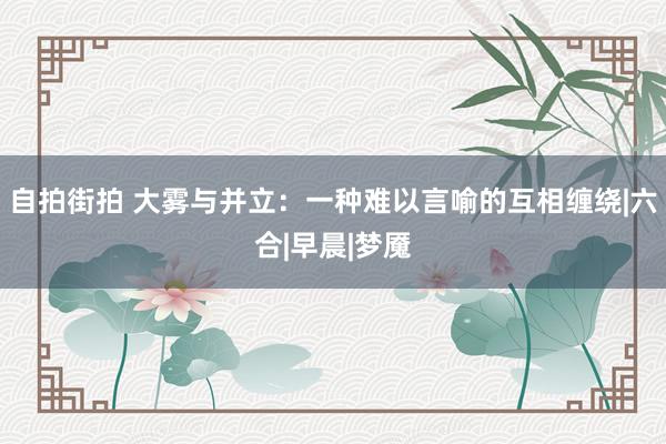 自拍街拍 大雾与并立：一种难以言喻的互相缠绕|六合|早晨|梦魇